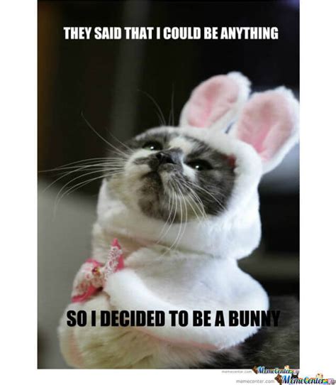 cat and rabbit meme|cat with bunny ears meme.